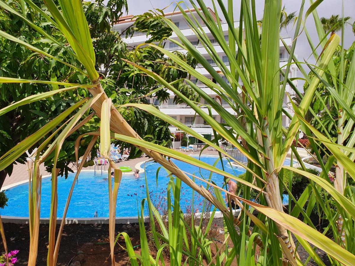 Spectacular Renovated Apartment, 5 Min To Camison Beach, With Aircon Arona  Buitenkant foto