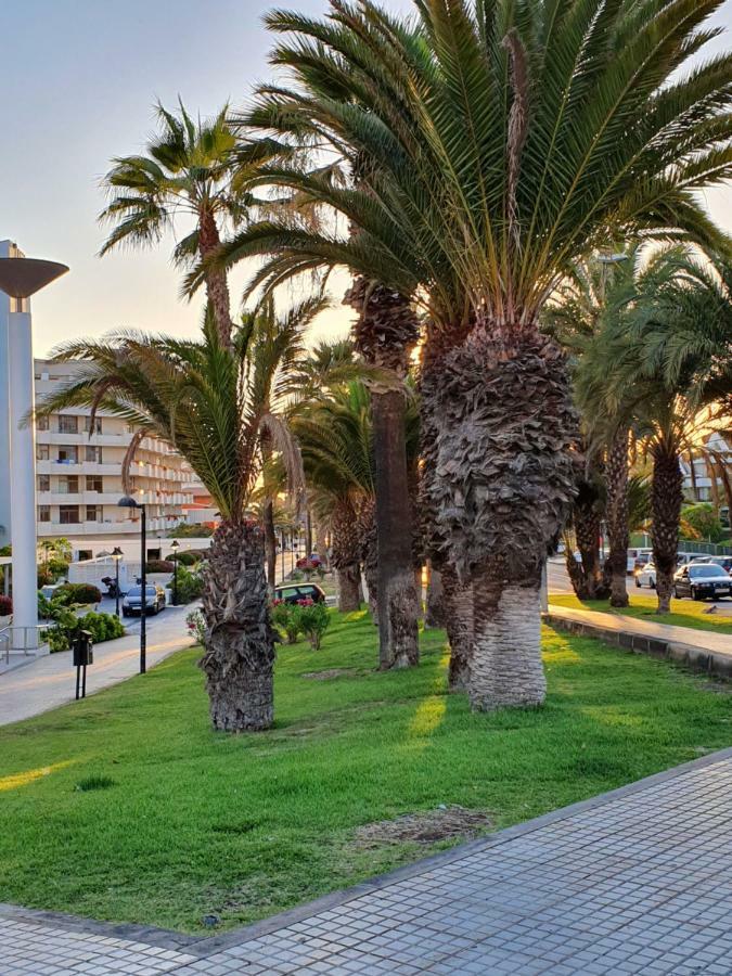 Spectacular Renovated Apartment, 5 Min To Camison Beach, With Aircon Arona  Buitenkant foto